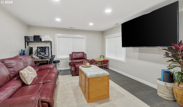 living room featuring wood-type flooring