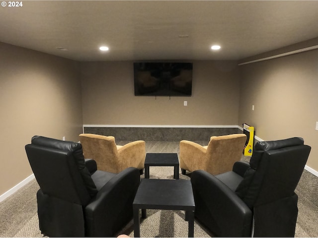 view of carpeted home theater