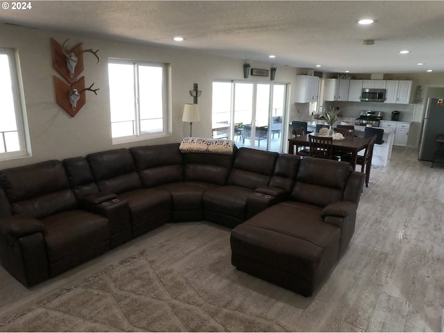 living room featuring a textured ceiling and light wood-type flooring