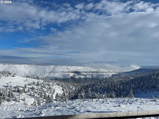 view of mountain feature