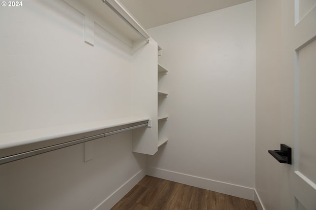 walk in closet featuring dark hardwood / wood-style floors