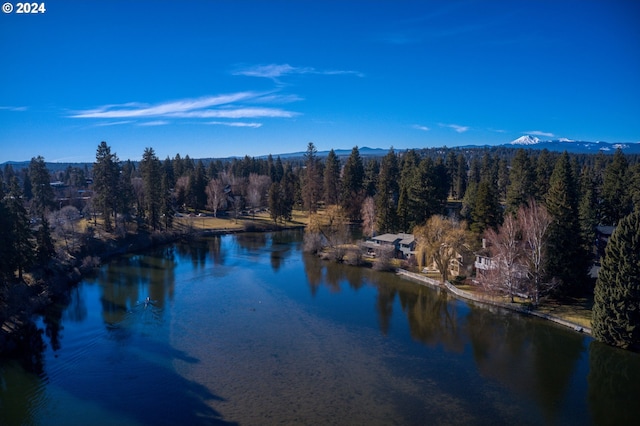 20542 Empire Ave, Bend, OR 97701 - water view with a forest and a mountainous background
