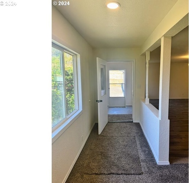 doorway to outside featuring dark colored carpet