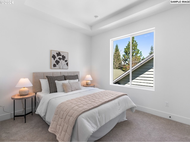 carpeted bedroom featuring a tray ceiling