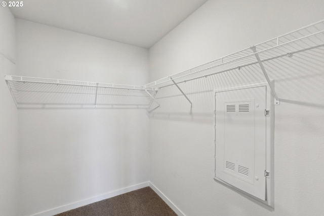 spacious closet featuring carpet