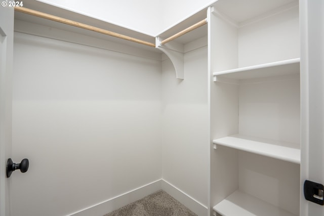 spacious closet featuring carpet floors