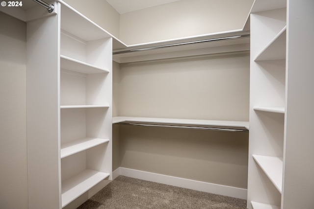 spacious closet featuring carpet floors