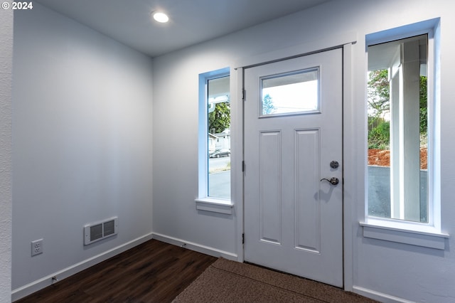 foyer entrance featuring dark wood-type flooring