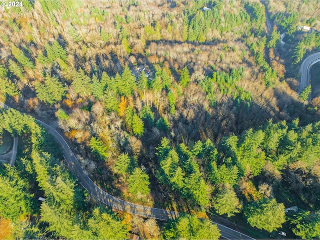 NW Skyline Blvd, Portland, OR 97231