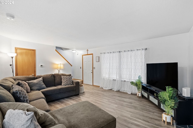 living room featuring hardwood / wood-style floors