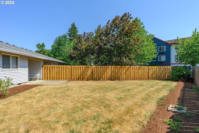 view of yard with a patio