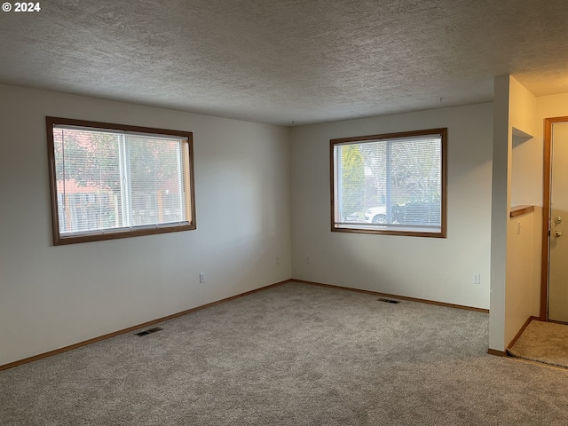 carpeted empty room with a wealth of natural light