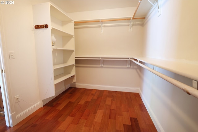 spacious closet featuring dark hardwood / wood-style flooring