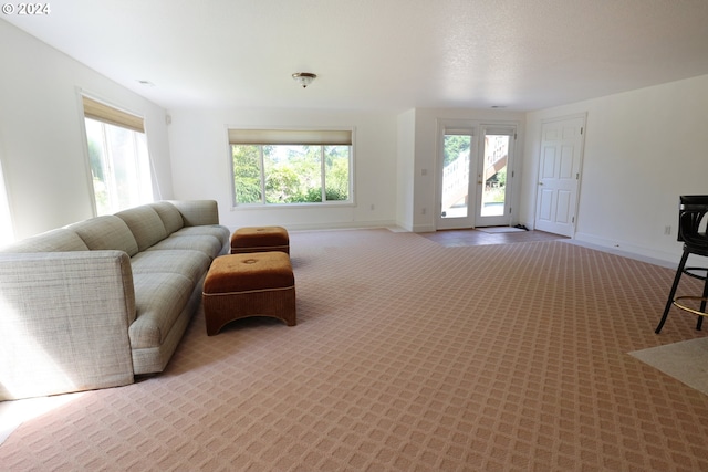 living room featuring carpet flooring and a healthy amount of sunlight