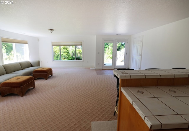 carpeted bedroom with access to exterior and a textured ceiling