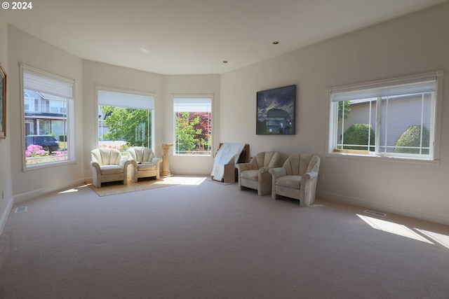 sitting room featuring carpet flooring