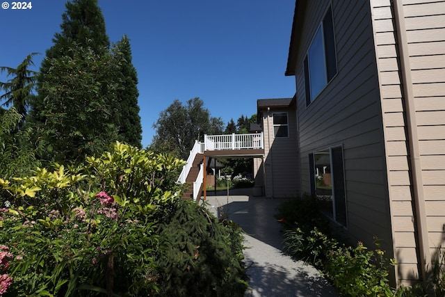 view of yard featuring a patio area