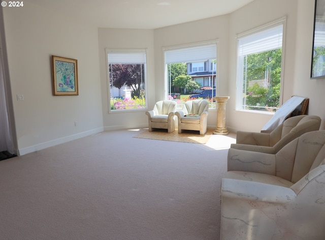 sitting room featuring carpet floors