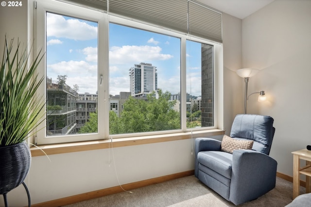 living area featuring baseboards, carpet flooring, and a city view