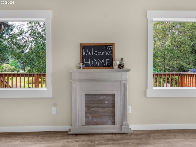 room details with hardwood / wood-style floors