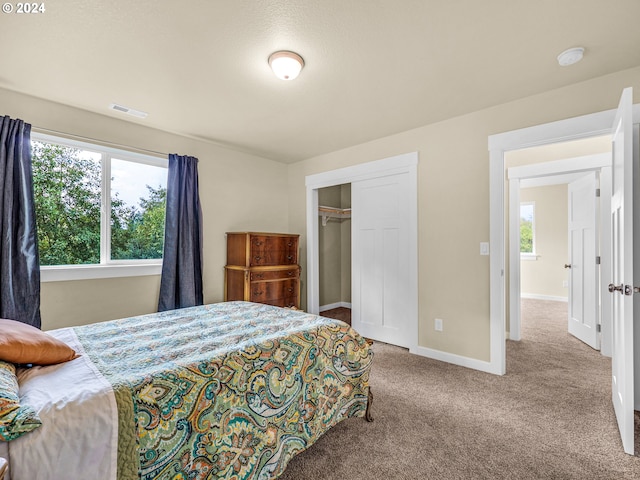 bedroom with a closet and carpet