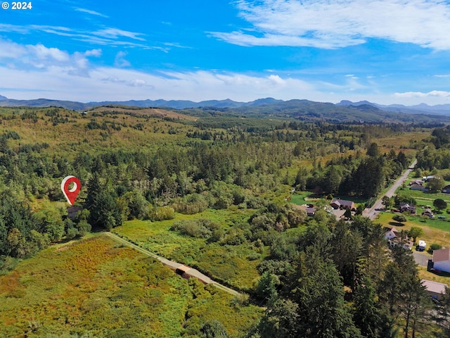 birds eye view of property featuring a mountain view