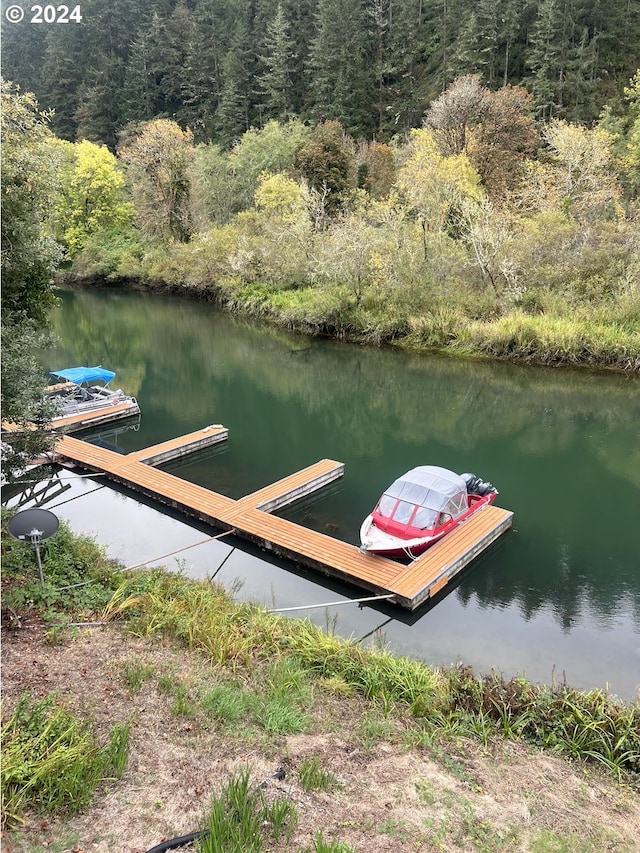 dock area with a water view