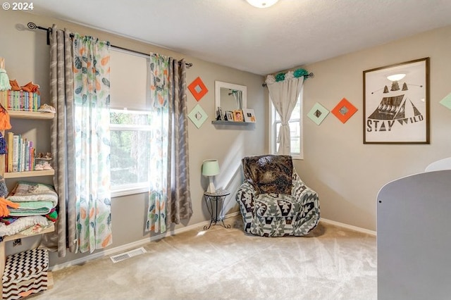 sitting room featuring carpet floors