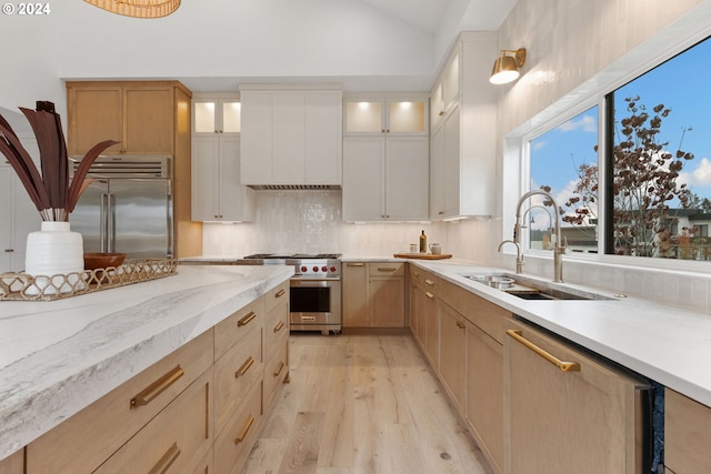 kitchen with lofted ceiling, a sink, decorative backsplash, light wood-style floors, and high quality appliances