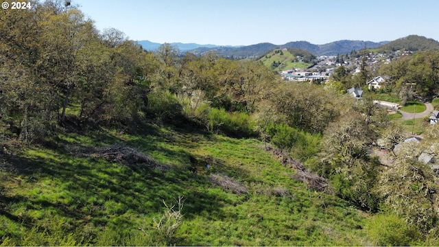 498 SE Dos Gatos Ct, Roseburg OR, 97470 land for sale