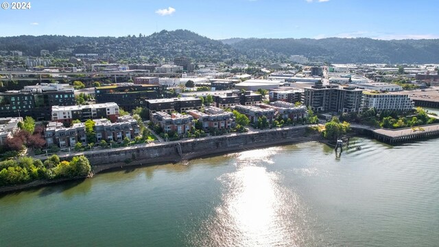 birds eye view of property with a water and mountain view