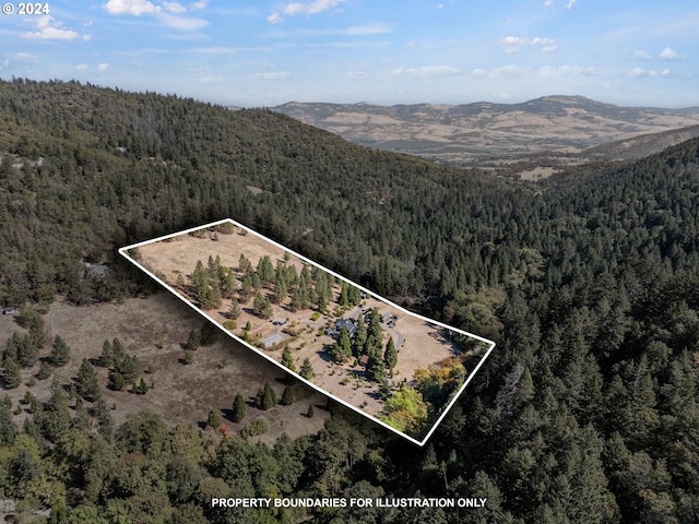 bird's eye view featuring a mountain view