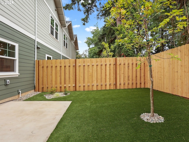 view of yard with a patio area and a fenced backyard