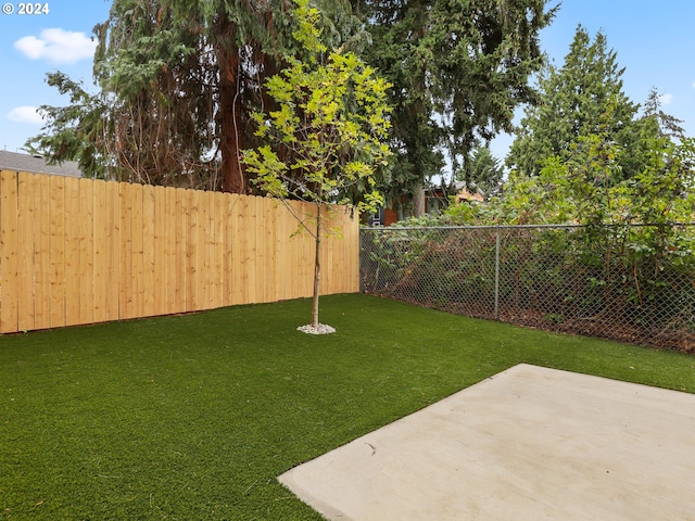 view of yard featuring a patio