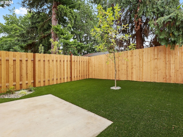 view of yard featuring a patio