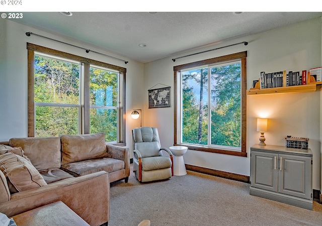 carpeted living room with plenty of natural light