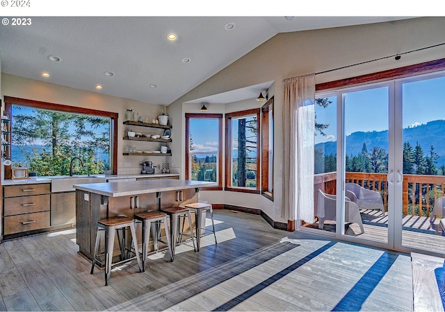 kitchen featuring sink, light hardwood / wood-style flooring, a mountain view, plenty of natural light, and a kitchen island