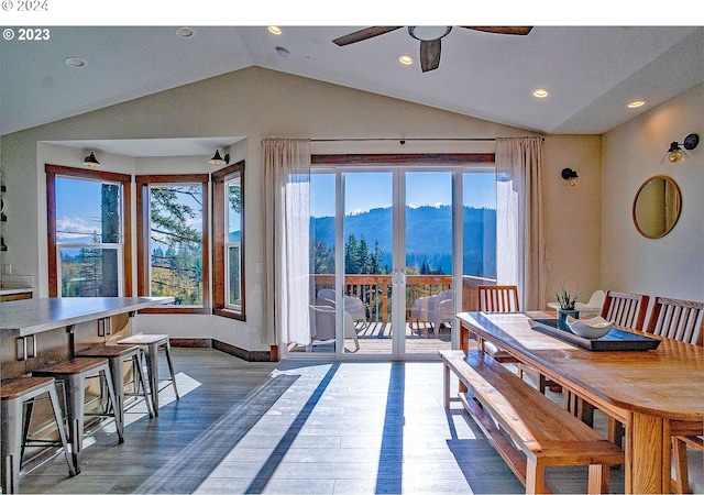 dining space featuring a mountain view, a healthy amount of sunlight, lofted ceiling, and dark wood-type flooring