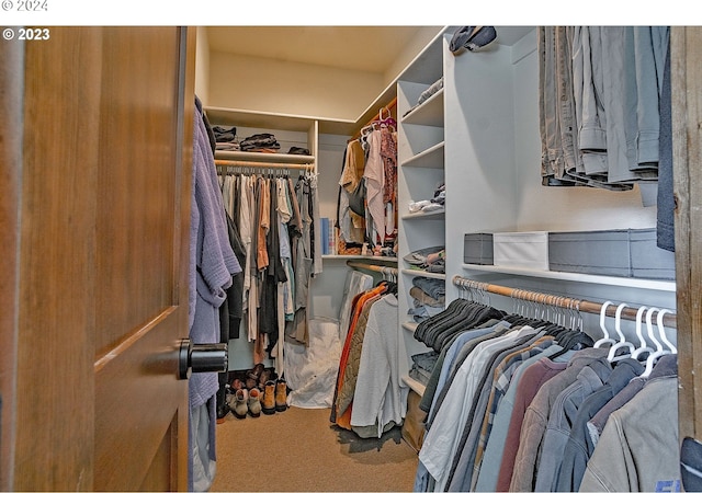 walk in closet featuring carpet floors