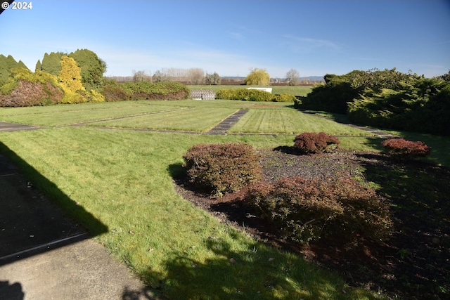 view of yard featuring a rural view