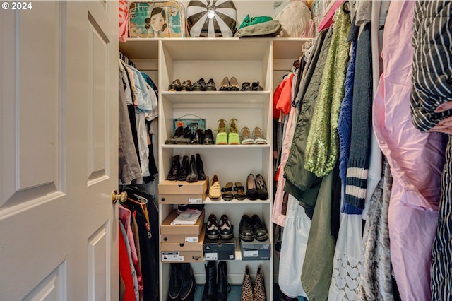 view of spacious closet