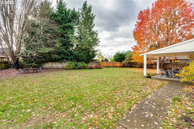 view of yard featuring a patio area