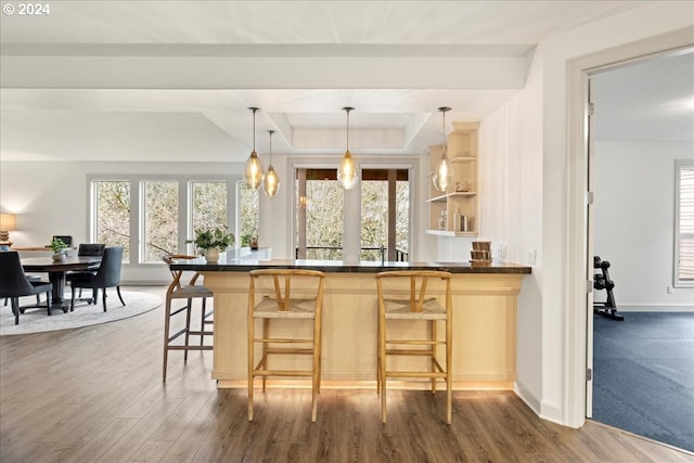 bar with pendant lighting, dark hardwood / wood-style floors, and a wealth of natural light