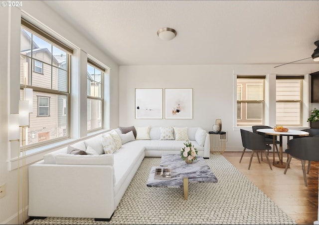 living room featuring light hardwood / wood-style flooring