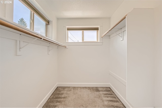 spacious closet featuring carpet floors