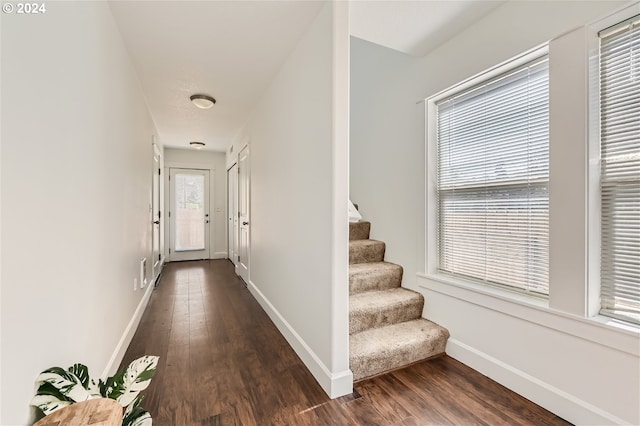 corridor with dark hardwood / wood-style flooring