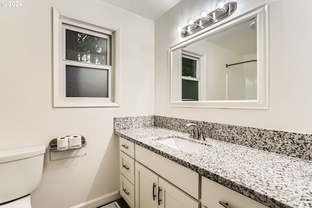 bathroom featuring a shower, vanity, and toilet