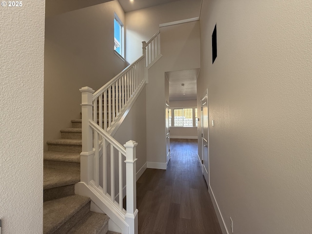 stairway featuring hardwood / wood-style floors