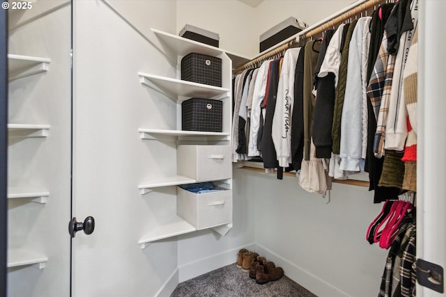 19639 SW Blackbear Ct, Beaverton, OR 97006 - walk in closet with carpet flooring
