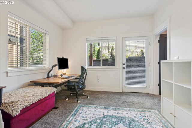 19639 SW Blackbear Ct, Beaverton, OR 97006 - carpeted home office featuring healthy amount of natural light